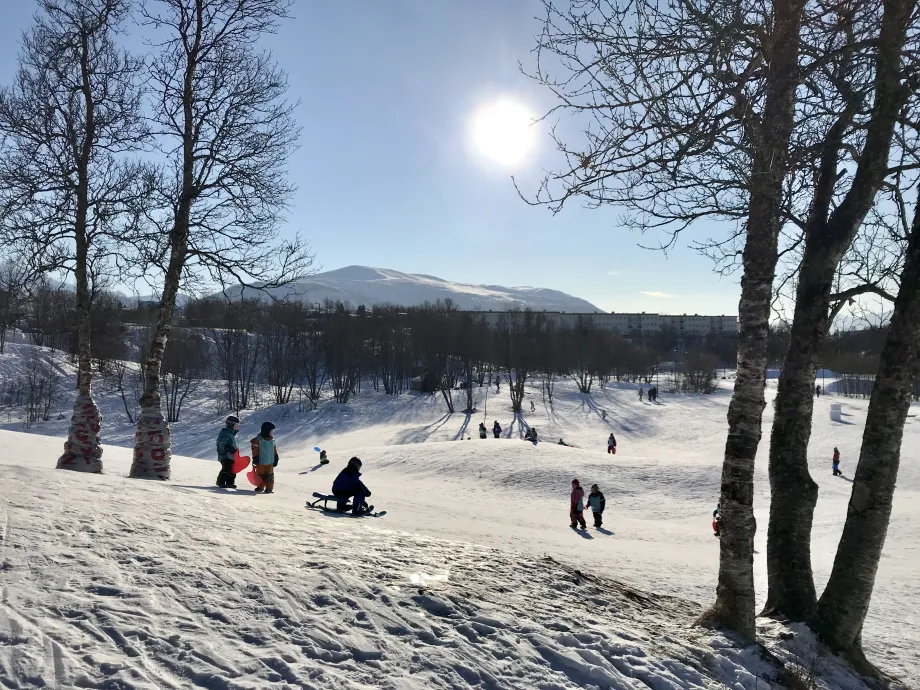 Barn som aker p&aring; Charlottenlund aktivitets- og friluftspark