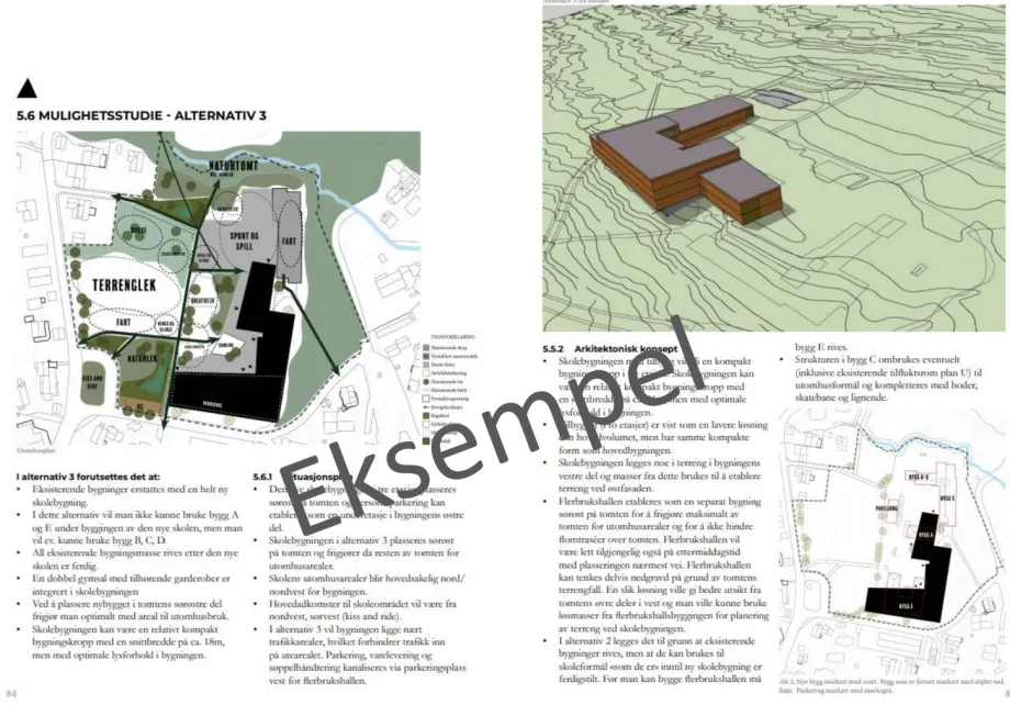Viser et eksempel p&aring; hvordan et konsept for en skole kan se ut i denne fasen.