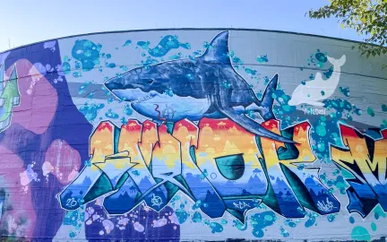 Forh&aring;pningen trykkbasseng dekket av gatekunst