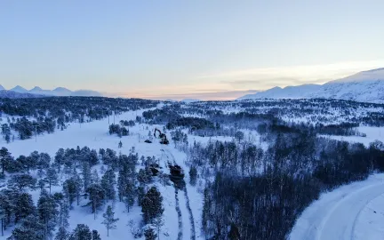 Gravemaskiner i skogen p&aring; Vikran
