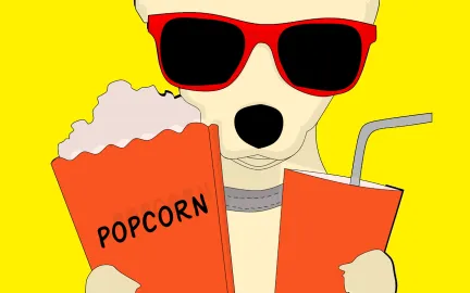 Hund med popcorn og brus