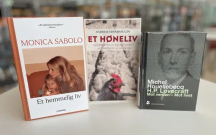 Under radaren, h&oslash;ns