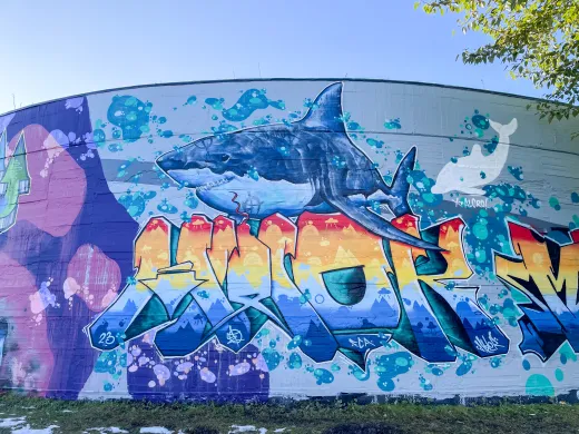 Forhåpningen trykkbasseng dekket av gatekunst_12 Forhåpningen trykkbasseng dekket av gatekunst