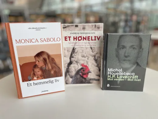 Under radaren, høns Under radaren, høns