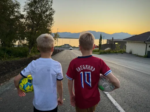 Tryggere skolevei Vesterlia