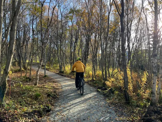 Ny snarvei Bo i nord