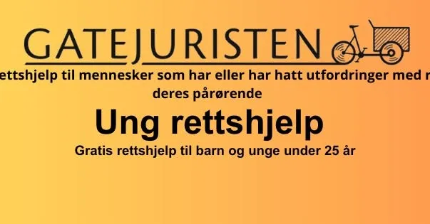 Gatejuristen, Kroken