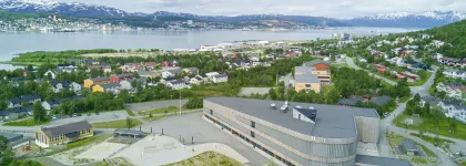 Tromstun skole sommer